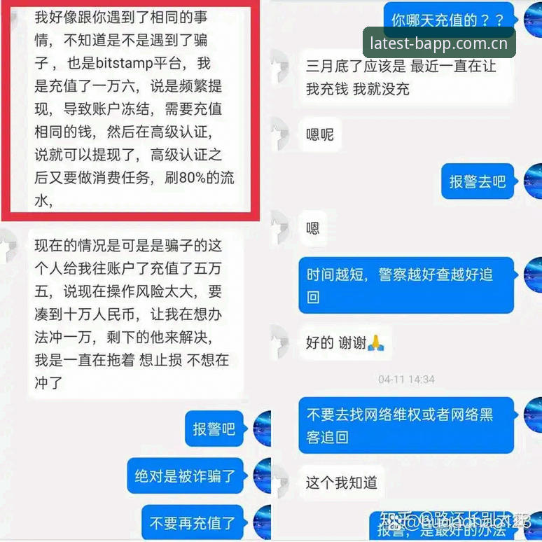 B体育官方平台导航站CN使用指南：从安装到数据追踪的完整流程